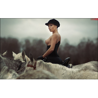 Love Horse Â©_1-ApD79LBvv1qREiPMsWzGpGEeXvmdUveU.jpg